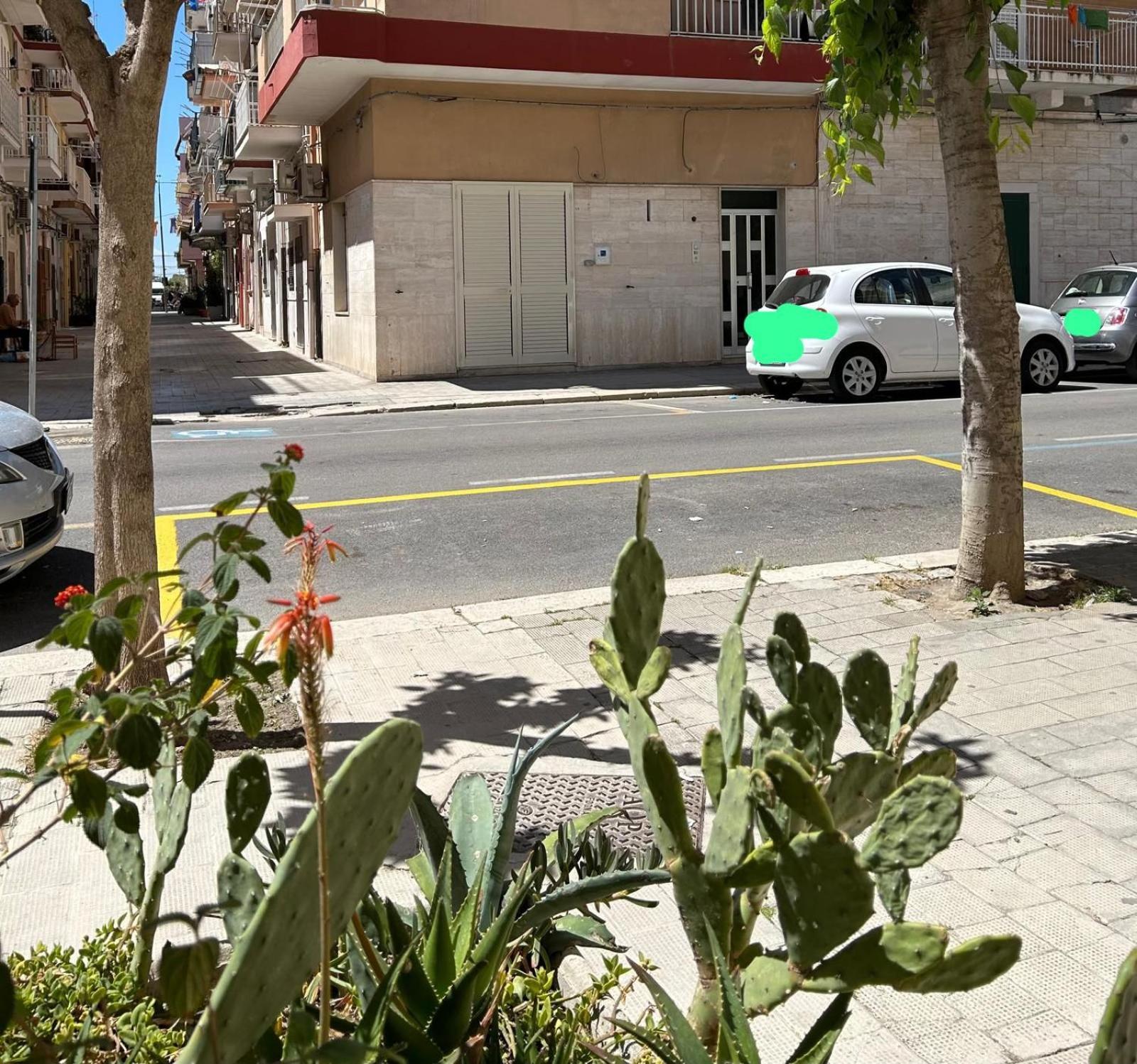 Appartamento Centralissimo Zona Terme Margherita Di Savoia Zewnętrze zdjęcie